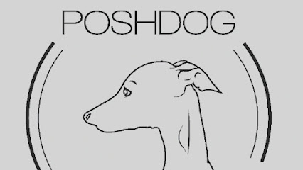 Posh dog by Sandra