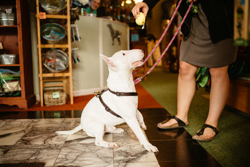 Pet Supply Store «Sellwood Pet Supply», reviews and photos, 8334 SE 17th Ave, Portland, OR 97202, USA