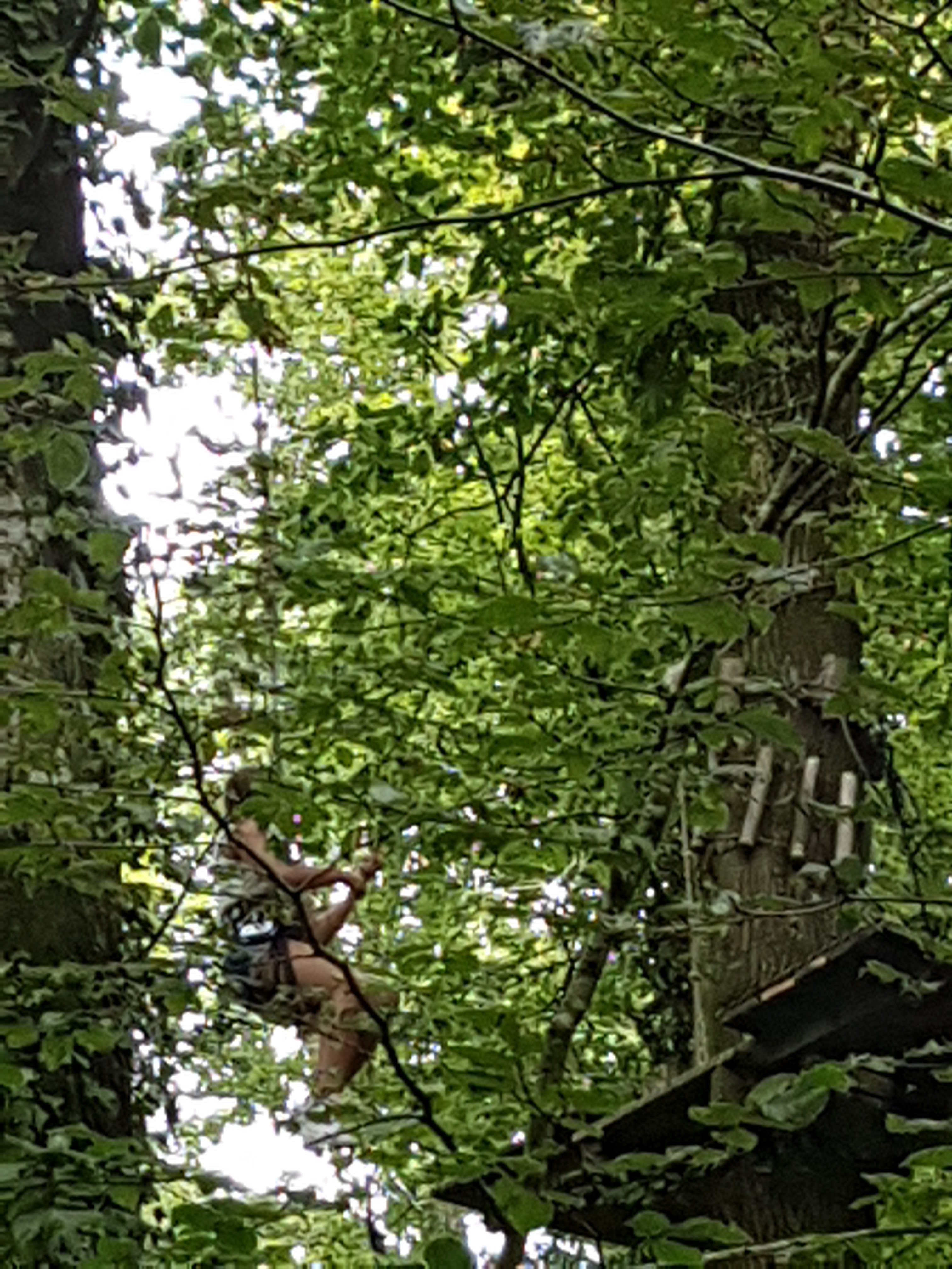 Photo n° 1 de l'avis de Aurore.i fait le 23/07/2018 à 21:10