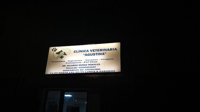 Clinica Veterinaria Agustina, Curicó - Veterinario