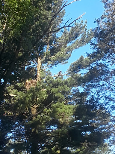 Country Club «Coatesville Country Club», reviews and photos, 143 Reservoir Rd, Coatesville, PA 19320, USA