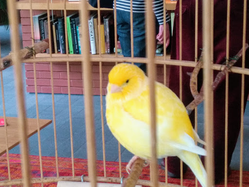 Art Museum «Isabella Stewart Gardner Museum», reviews and photos, 25 Evans Way, Boston, MA 02115, USA