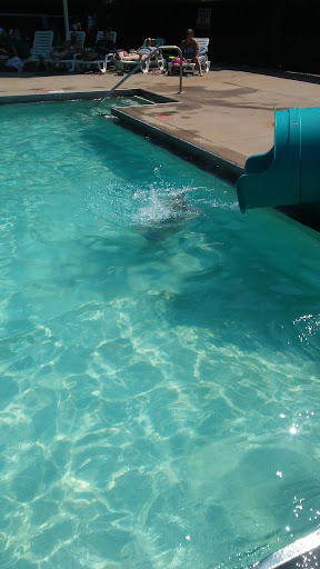 Public Swimming Pool «Midtown Water Park», reviews and photos, 125 Leroy Childs Dr, Carrollton, GA 30117, USA