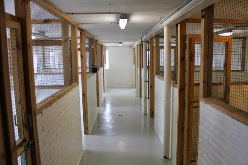 Sydfyns Hundepension in Vester Skerninge, Svendborg