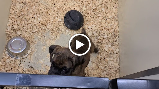 Pet Store «The Pet Shop», reviews and photos, 1988 MacArthur Rd, Whitehall, PA 18052, USA