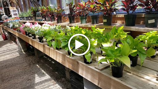 Garden Center «Nalls Produce», reviews and photos, 7310 Beulah St, Alexandria, VA 22315, USA