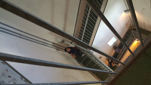 Ski Resort «High Point Cross Country Ski Center», reviews and photos, 1480 NJ-23, Sussex, NJ 07461, USA