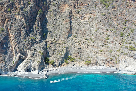 Monk beach