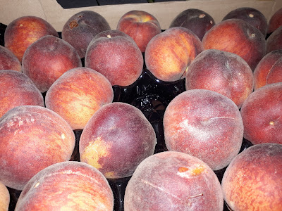 Fruits le Pélican à Châteauneuf-du-Rhône