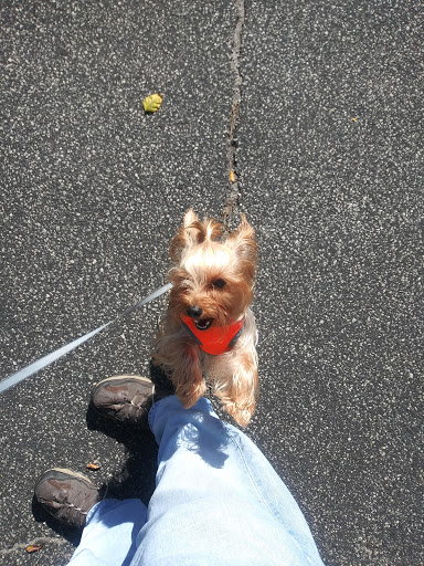 Park «Jones Bridge Park», reviews and photos, 4901 E Jones Bridge Rd, Peachtree Corners, GA 30092, USA