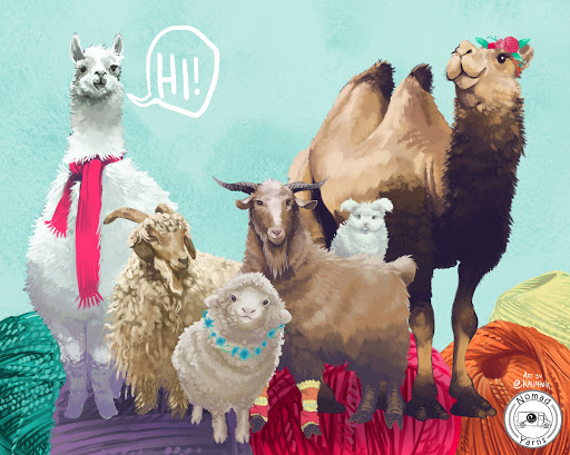 Yarn Store «Nomad Yarns», reviews and photos, 218 E Main St, Plainfield, IN 46168, USA