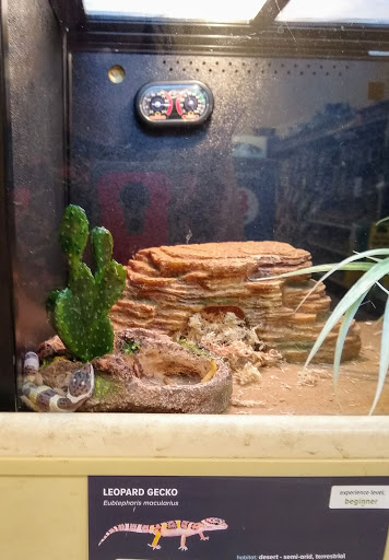 Pet Supply Store «PetSmart», reviews and photos, 842 Dawsonville Hwy, Gainesville, GA 30501, USA