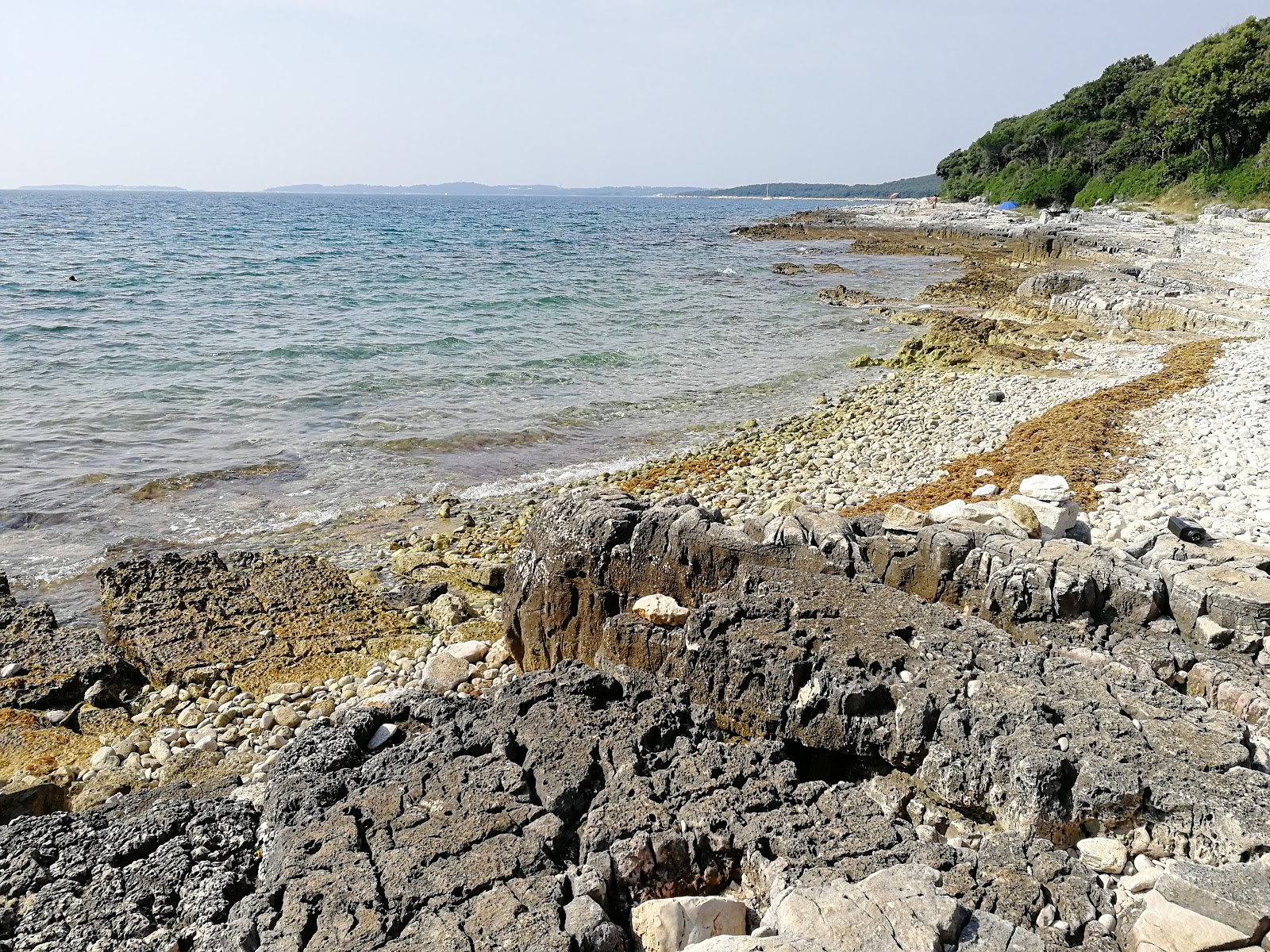 Foto av Coala beach med stenar yta