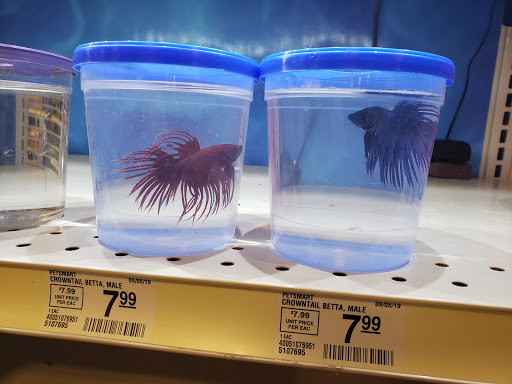 Pet Supply Store «PetSmart», reviews and photos, 2356 W State Rte 89A, Sedona, AZ 86336, USA