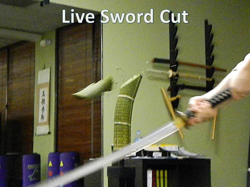 Martial Arts School «Victory Martial Arts Academy LLC», reviews and photos, 205 Apollo Beach Blvd #115, Apollo Beach, FL 33572, USA