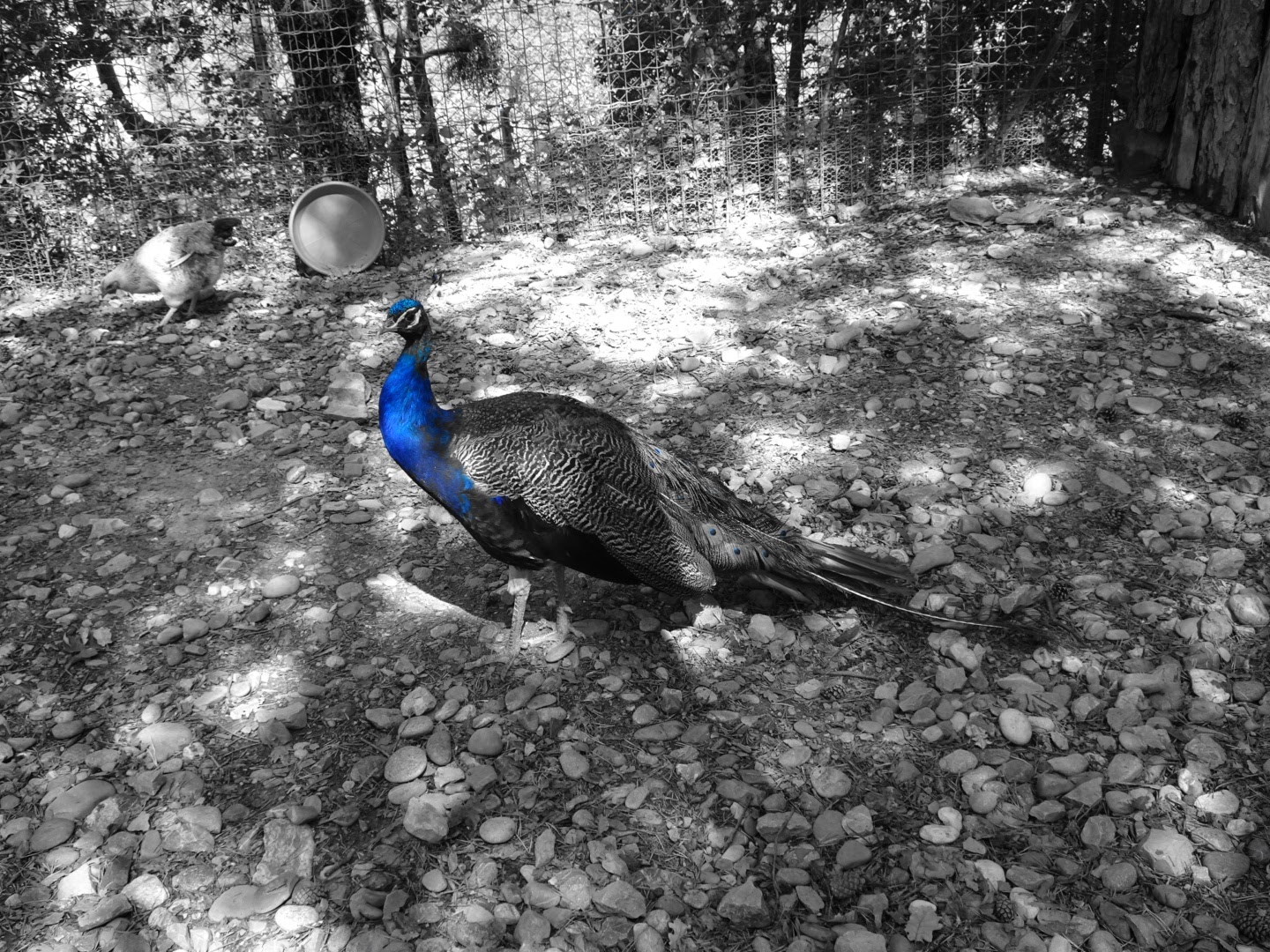 Photo n° 12 de l'avis de Romain.o fait le 17/08/2017 à 11:56