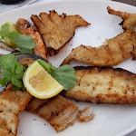 Photo n°1 de l'avis de Marina.e fait le 12/07/2022 à 22:27 sur le  La Baia dei Baci à Cattolica