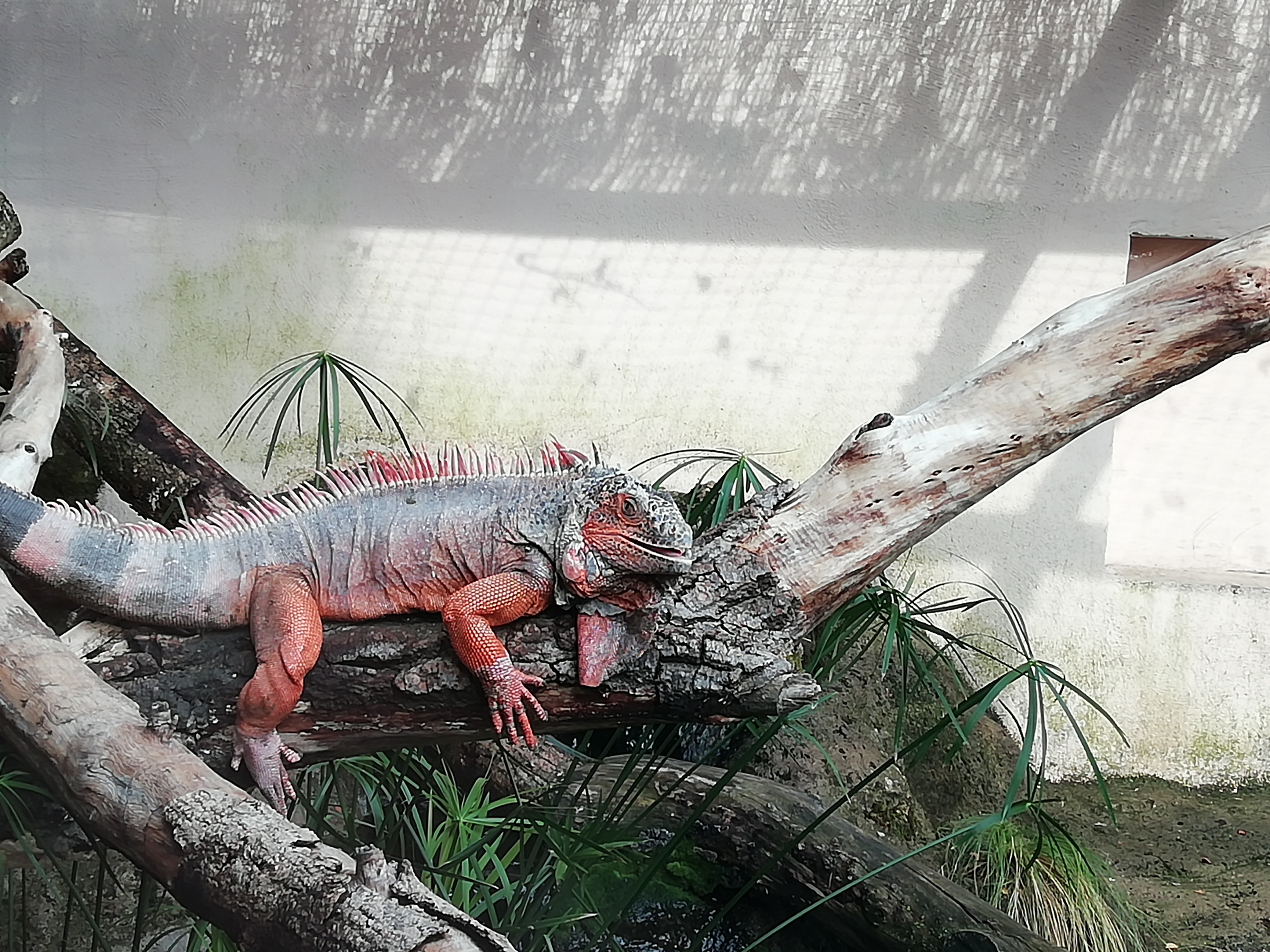 Photo n° 2 de l'avis de spinel.u fait le 05/09/2018 à 08:32