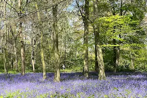 Chalet Wood image