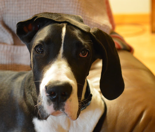 Jewelry Store «Design One Jewelers», reviews and photos, 2547 Countryside Blvd #4, Clearwater, FL 33761, USA