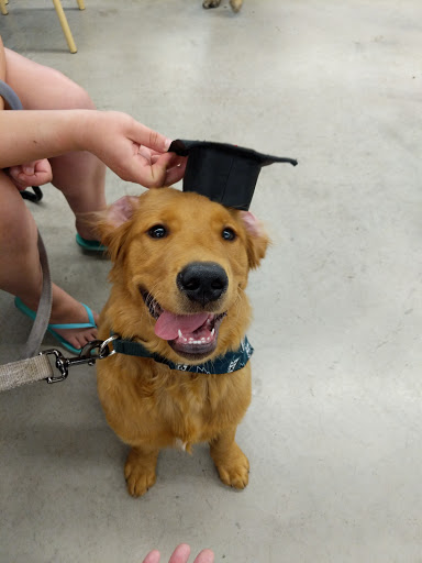 Pet Supply Store «PetSmart», reviews and photos, 650 Commerce Blvd, Scranton, PA 18519, USA