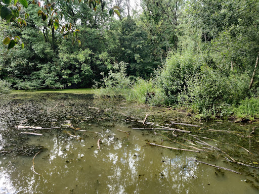 Howardian Local Nature Reserve