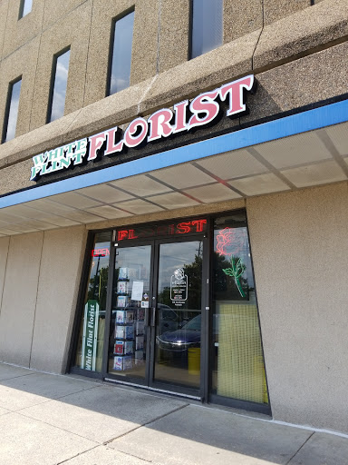 Florist «White Flint Florist», reviews and photos, 16220 Frederick Rd, Gaithersburg, MD 20877, USA