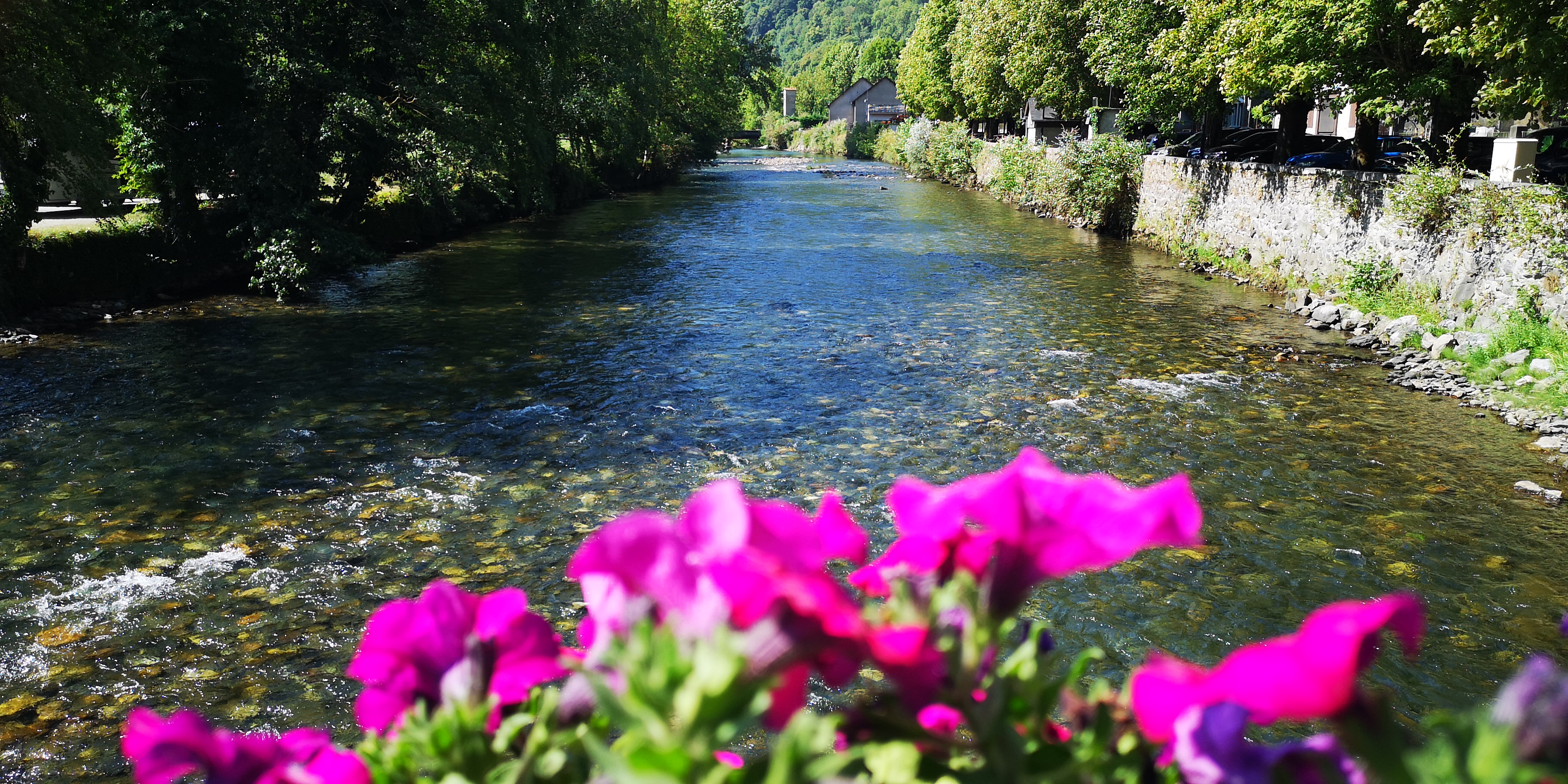 Photo n° 23 de l'avis de Françoise.e fait le 20/08/2022 à 15:10