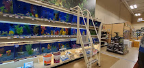 PetSmart - Photo 8 - Car repair in San Jose, CA, San Jose