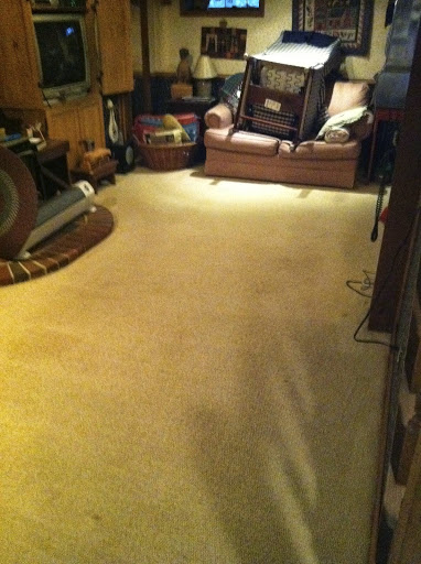 Organic Dry Carpet Cleaning