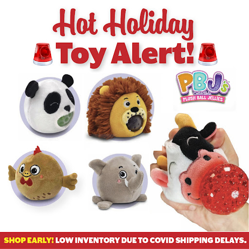 Toy Store «Learning Express», reviews and photos, 3013 Yamato Rd, Boca Raton, FL 33434, USA