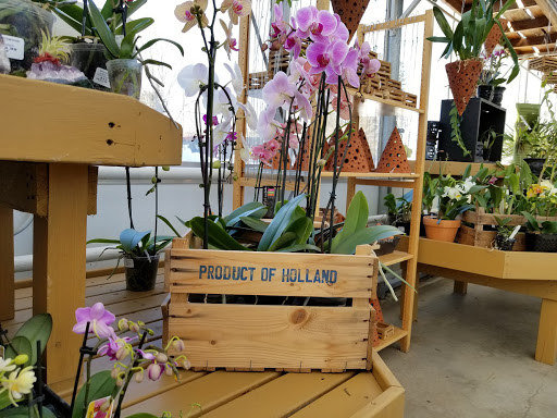 Greenhouse «Wentworth Greenhouses», reviews and photos, 141 Rollins Rd, Rollinsford, NH 03869, USA