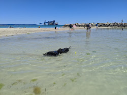 Zdjęcie Kwinana Dog Beach z przestronna plaża