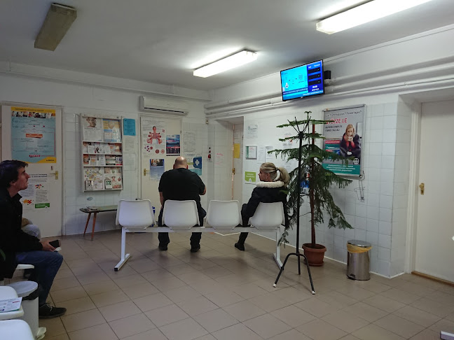 DNE-Sanitas - Budapest