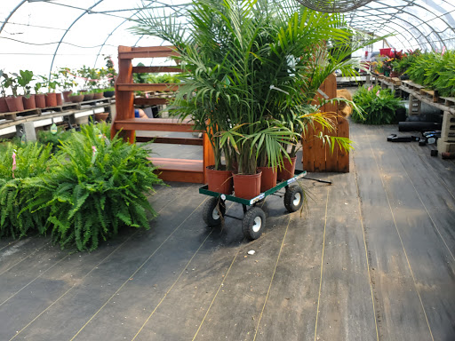 Garden Center «Beachside Gardens & Gifts», reviews and photos, 3725 US-12, Michigan City, IN 46360, USA