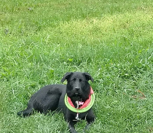 148 Walkers Village Way, Walkersville, MD 21793, USA