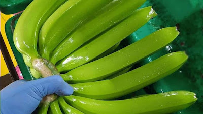 ABCD de L'exotique à Rungis