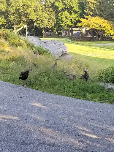Golf Course «Potowomut Golf Club Inc», reviews and photos, 439 Ives Rd, East Greenwich, RI 02818, USA