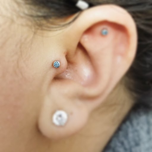 Body Piercing Shop «Skin Gallery Tattooing & Body Piercing», reviews and photos, 1402 Ogden Ave, Downers Grove, IL 60515, USA