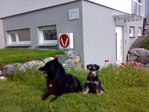 Dr.med.vet. Ursula Fischer unter Herdwangen-Schönach, 