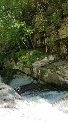 Tourist Attraction «The Gorge - A Zipline Canopy Tour», reviews and photos, 166 Honey Bee Dr, Saluda, NC 28773, USA