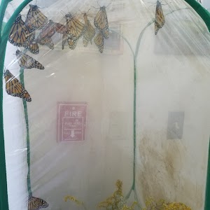 Irvine Nature Center - photo 91
