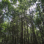 Photo n°23 de l'avis de Daniela.o fait le 04/09/2021 à 02:50 sur le  Rifugio Casermette del Monte Penna à Santo Stefano d'Aveto