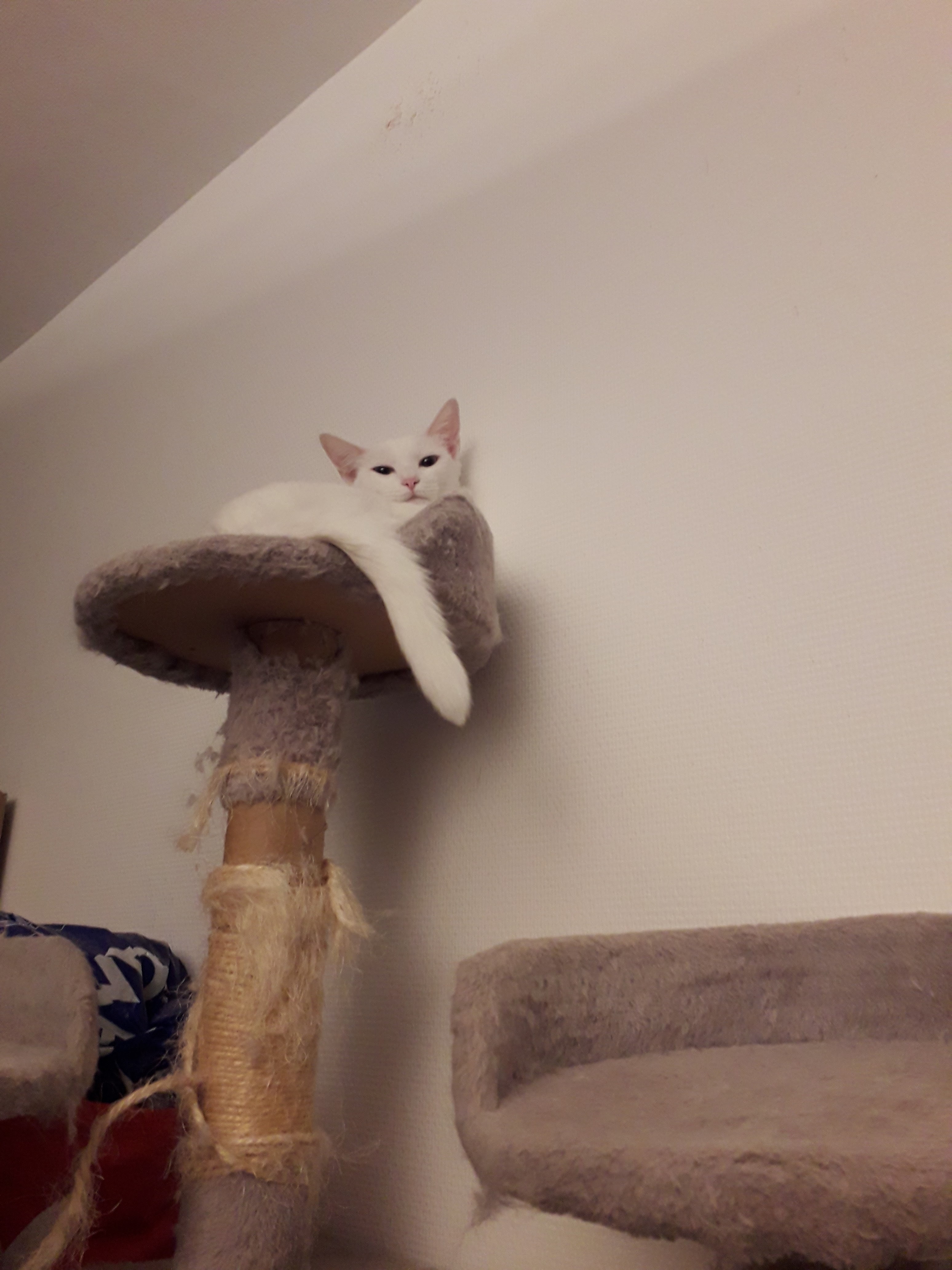 Photo n° 7 de l'avis de Kayla.b fait le 09/12/2018 à 10:02