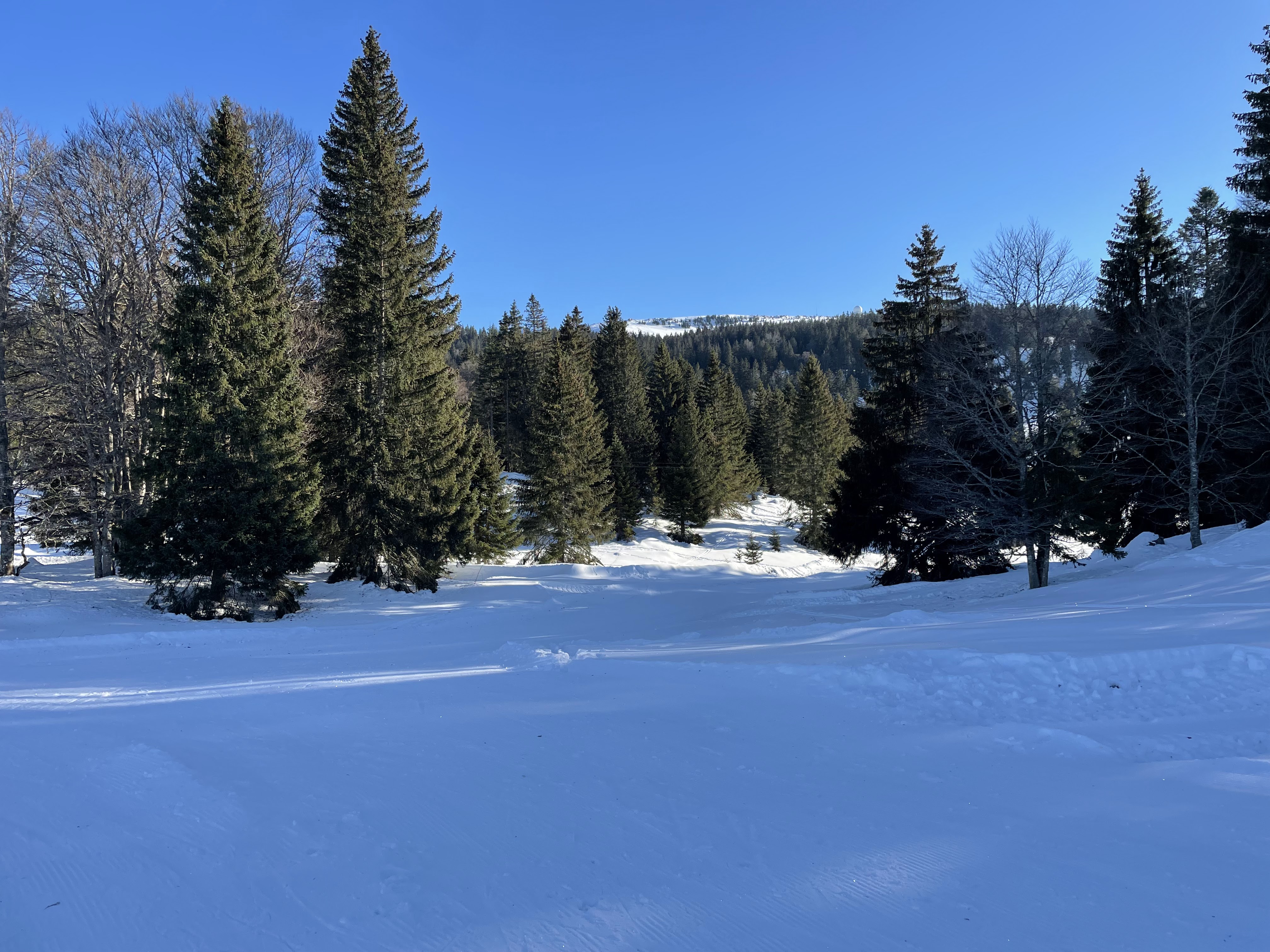 Photo n° 12 de l'avis de khalid.r fait le 21/12/2021 à 19:23