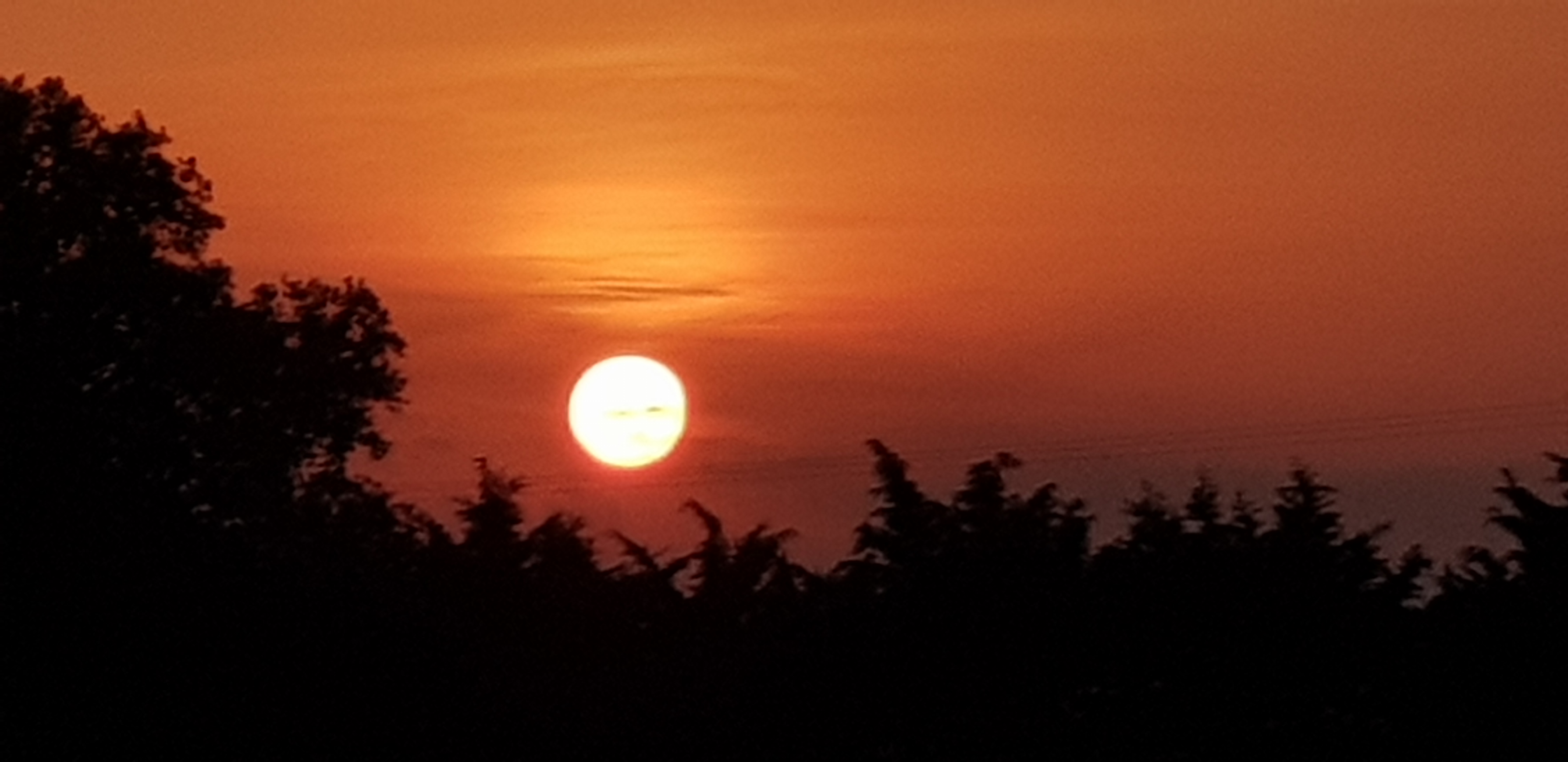 Photo n° 7 de l'avis de Essential.y fait le 23/07/2019 à 22:02