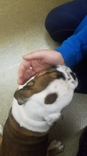 Pet Store «Petland Hilliard», reviews and photos, 5253 Nike Dr, Hilliard, OH 43026, USA