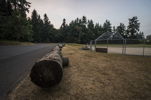 Park «Northacres Park», reviews and photos, 12718 1st Ave NE, Seattle, WA 98125, USA