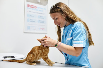 Clinique Vétérinaire Argos à Paris