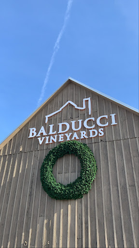 Winery «Balducci Vineyards», reviews and photos, 6601 S Missouri 94, Augusta, MO 63332, USA